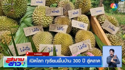 เปิดโลก ทุเรียนพื้นบ้าน 300 ปี สู่ตลาด จ.สงขลา