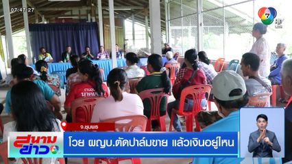 โวย ผญบ.ตัดปาล์มขาย แล้วเงินอยู่ไหน จ.ชุมพร