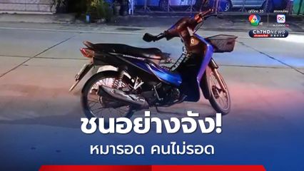 หนุ่มขี่รถชนสุนัขคว่ำกลางถนน คนเสียชีวิต สุนัขปลอดภัย