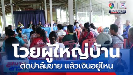 โวย ผญบ.ตัดปาล์มขาย แล้วเงินอยู่ไหน จ.ชุมพร