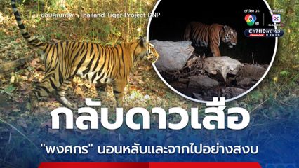 กลับดาวเสือ “พงศกร” นอนหลับและจากไปอย่างสงบ