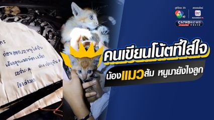 เอ็นดูคนจิตใจดี ใส่ใจเสียงร้องของน้องแมว เขียนโน้ตแปะหน้ากระจกรถ เปิดฝากระโปรงดูห้องเครื่องเจอลูกแมวน่ารัก ที่เป็นแมวส้ม