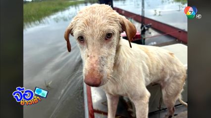 วางตาข่ายดักปลา ได้หมาหนัก 20 กก.