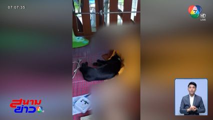 หวั่นอาถรรพ์แมวดำ นอนเฝ้าพระมรณภาพ จ.สระบุรี