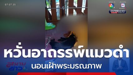 หวั่นอาถรรพ์แมวดำ นอนเฝ้าพระมรณภาพ จ.สระบุรี