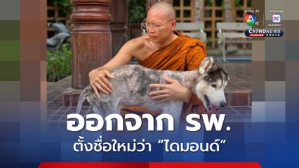 น้องไดมอนด์ ชื่อใหม่ไซบีเรียนฯ ผอมโซ