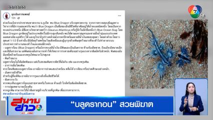 เพจดังเตือน! บลูดรากอน สวยพิฆาต