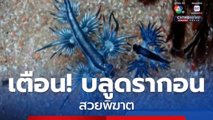 เพจดังเตือน! บลูดรากอน สวยพิฆาต