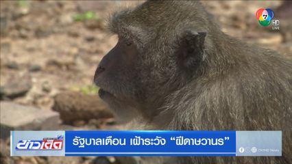 รัฐบาลเตือน เฝ้าระวัง ฝีดาษวานร