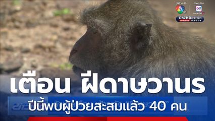 รัฐบาลเตือน เฝ้าระวัง ฝีดาษวานร