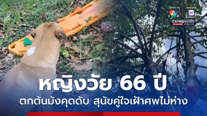 สุดสลด หญิงวัย 66 ปี ตกต้นมังคุดเสียชีวิต น้องอ้วน สุนัขคู่ใจเฝ้าศพไม่ห่าง