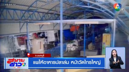 แพให้อาหารปลาล่ม หน้าวัดไทรใหญ่