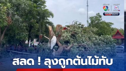 สลด ! ลุงอายุ 64 ปี ช่วยตัดต้นไม้ในวัด ถูกต้นไม้ทับร่างเสียชีวิต