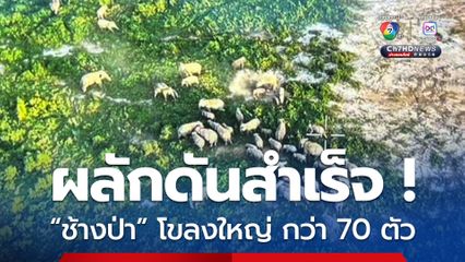 อุทยานแห่งชาติทับลาน ผลักดันสำเร็จ ! “ช้างป่า” โขลงใหญ่กว่า 70 ตัว กลับสู่ป่าธรรมชาติ 