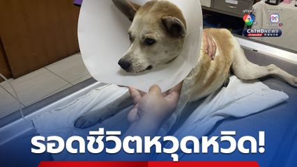 น้อง “ลัคกี้ ” รอดชีวิตหวุดหวิด! หลังช็อกเฉียบพลัน พี่น้องชาวบ้านช่วยกันประคองชีวิต ก่อนส่งถึงมือหมอทันเวลา