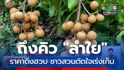 ชาวสวนลำไย เร่งเก็บผลผลิต หนีราคาตกต่ำ แจงดรามากิโลกรัมละ 1 บาท
