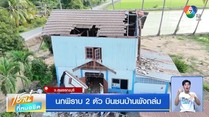 นกพิราบ 2 ตัว บินชนบ้านพังถล่ม