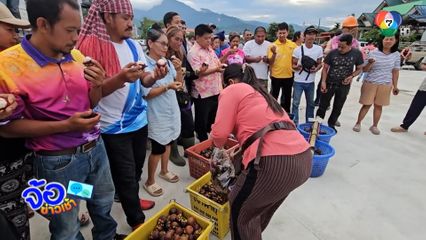 ชาวสวนมังคุดเมืองคอนนัดประท้วง ราคาดิ่งจี้รัฐบาลแก้