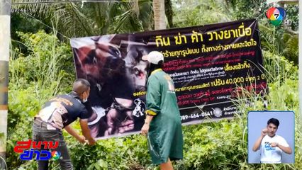 กลุ่มคนรักสัตว์ ตั้งเงินรางวัล 10,000 บาท แจ้งเบาะแสคนวางยาสุนัข 14 ตัว