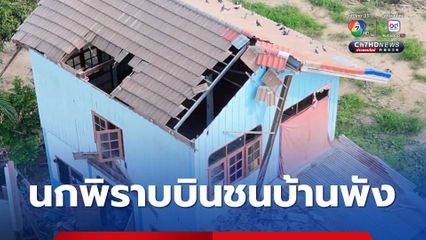 เหลือจะเชื่อ!? นกพิราบบินชนกระจก ทำบ้านพังถล่ม