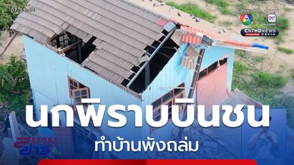 ใครจะเชื่อ นกพิราบบินชนบ้านพัง