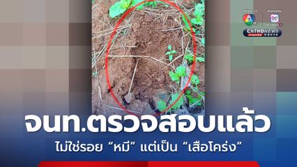 เจ้าหน้าที่ตรวจสอบแล้วรอยเท้าสัตว์ป่าที่วังน้ำเขียว ไม่ใช่หมีแต่เป็น “เสือโคร่ง” เร่งเฝ้าระวังอย่างใกล้ชิด