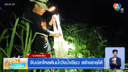 จับปลาไหลต้นน้ำวังน้ำเขียว สร้างรายได้