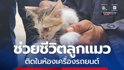 กู้ภัยฯ ช่วยชีวิตลูกแมวติดห้องเครื่องรถยนต์ไฟฟ้า