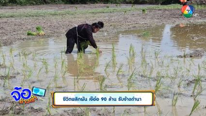 ชีวิตพลิกผัน เจ๊อ๋อ 90 ล้าน รับจ้างดำนา