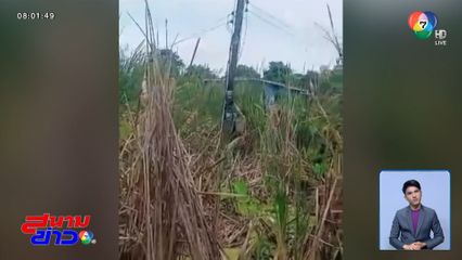 ทุลักทุเล ช่างเปลี่ยนมิเตอร์ไฟฟ้ากลางป่าต้นกก