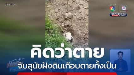 คิดว่าตาย จับสุนัขฝังดินเกือบตายทั้งเป็น