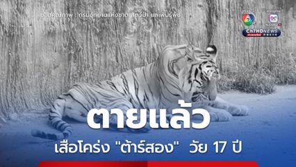 ตายแล้ว เสือโคร่งต้าร์สอง วัย 17 ปี หลังต่อสู้กับโรคมะเร็งเต้านม