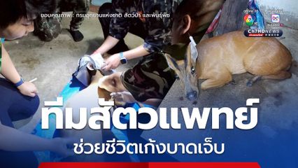 ทีมสัตวแพทย์ลงพื้นที่ ช่วยชีวิตเก้งบาดเจ็บ  หลังรับแจ้งจากชาวบ้าน ล่าสุดปลอดภัยแล้ว