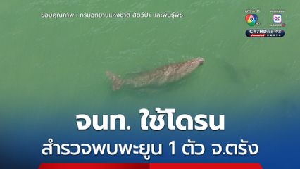 เจ้าหน้าที่ใช้โดรนสำรวจพบพะยูน 1 ตัว จ.ตรัง