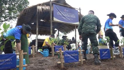 ราชวิทยาลัยจุฬาภรณ์ จัดกิจกรรมปลูกป่าเฉลิมพระเกียรติ สมเด็จพระเจ้าน้องนางเธอ เจ้าฟ้าจุฬาภรณวลัยลักษณ์ อัครราชกุมารี กรมพระศรีสวางควัฒน วรขัตติยราชนารี เนื่องในโอกาสวันคล้ายวันประสูติ ที่จังหวัดกาญจนบุรี