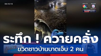 ควายคลั่ง ขวิดชาวบ้านบาดเจ็บ 2 คน สุดท้ายต้องตัดสินใจจบชีวิตควาย