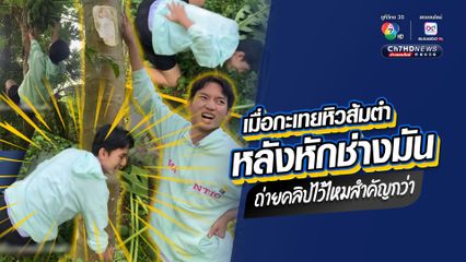 เมื่อกะเทยหิวส้มตำ ปีนเก็บมะละกอ ทำให้คอนเทนต์วิ่งเข้าหา