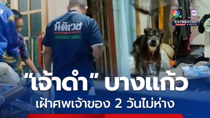 เคียงข้างกันจนวันสุดท้าย “เจ้าดำ” สุนัขพันธุ์บางแก้ว เฝ้าศพคุณตาวัย 77 ปี ไม่ห่าง ญาติก็เข้าใกล้ไม่ได้