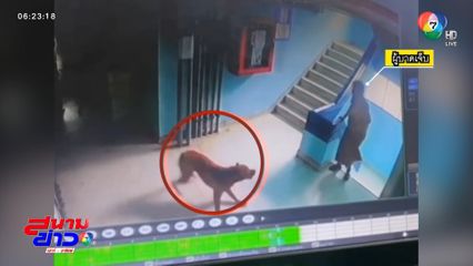 สุนัข กระโจนใส่ยาย ตกบันได 9 ขั้น จ.สมุทรปราการ