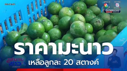 ราคามะนาว ลูกละ 20 สตางค์ จ.ราชบุรี