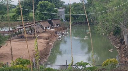 พระทำดีต้องชื่นชม! ใช้พื้นที่หลังวัดสร้างอาชีพให้ชาวบ้าน