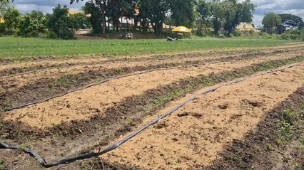 พระทำดีต้องชื่นชม! ใช้พื้นที่หลังวัดสร้างอาชีพให้ชาวบ้าน