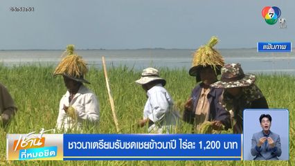 ชาวนาเตรียมรับชดเชยข้าวนาปี ไร่ละ 1,200 บาท