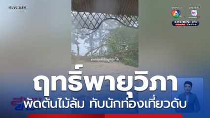 ลมพัดต้นไม้ล้ม ทับหญิงชาวจีนเสียชีวิต
