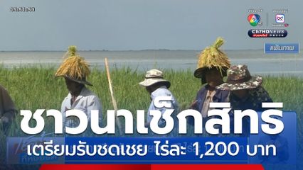 ชาวนาเตรียมรับชดเชยข้าวนาปี ไร่ละ 1,200 บาท