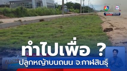 ทำเพื่อ ? ปลูกหญ้าบนถนน จ.กาฬสินธุ์