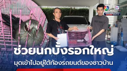 ช่วยนกบั้งรอกใหญ่ มุดเข้าไปอยู่ใต้ท้องรถยนต์ของชาวบ้าน