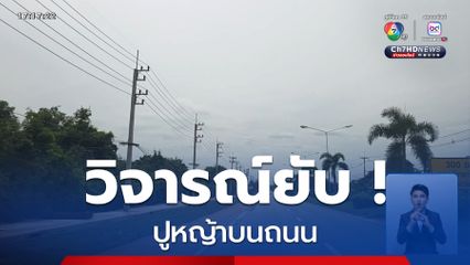 วิจารณ์ยับ ! ปูหญ้าบนถนน