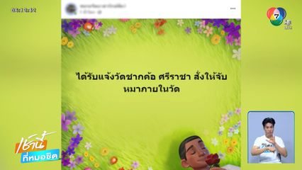 ดรามา พระจับหมาวัดไปปล่อย ?