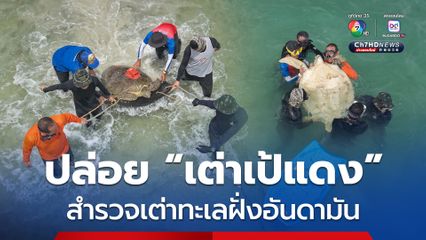กรมทะเล ร่วมกับเครือข่าย ปล่อยเต่าเป้แดง พร้อมสำรวจสถานภาพเต่าทะเลฝั่งอันดามัน
